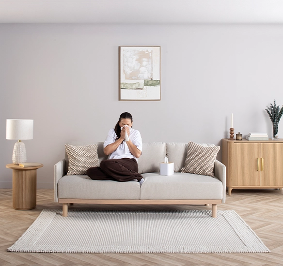 Air filter for allergens